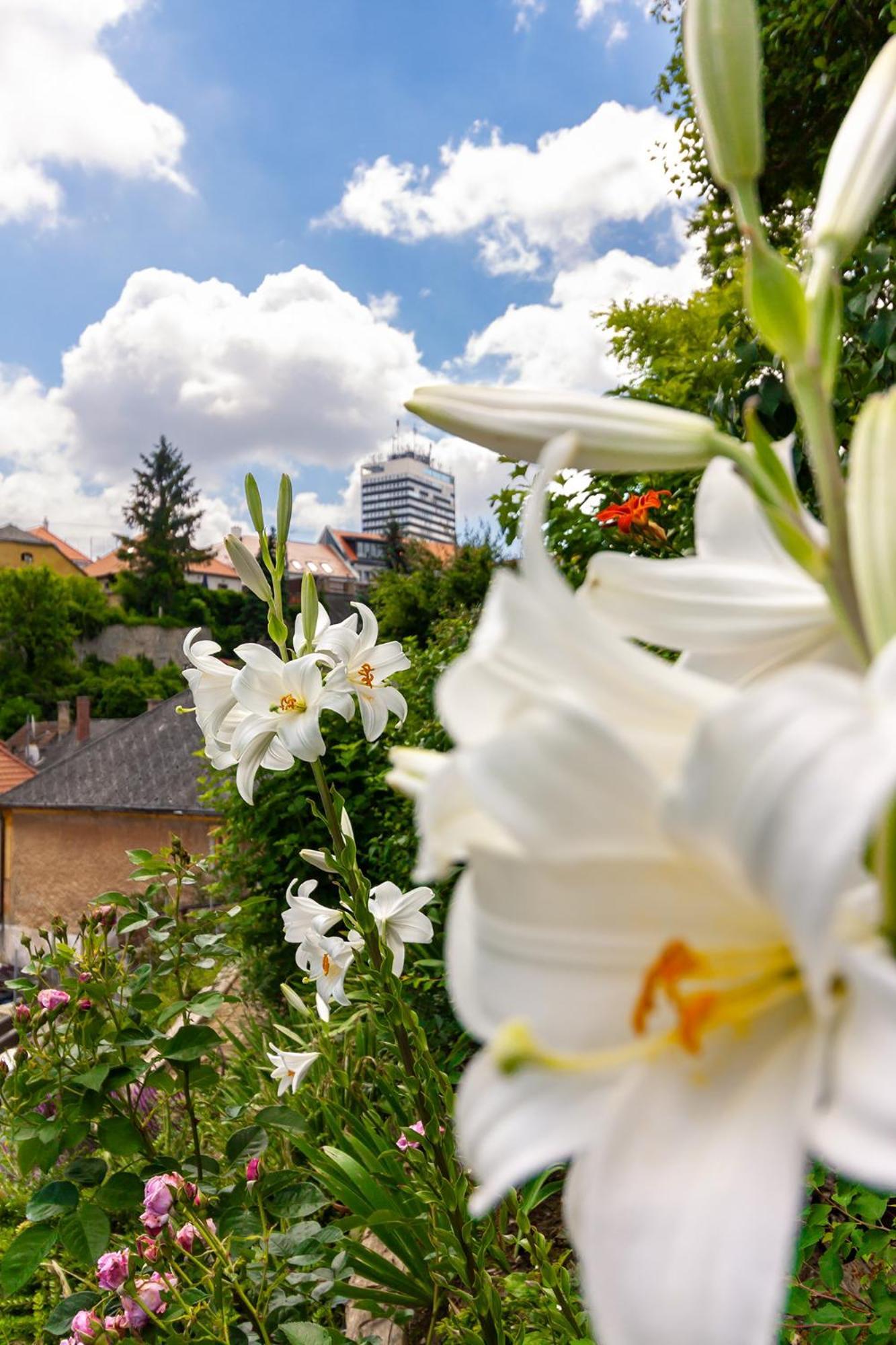 Monbuhim Comfort Veszprém Dış mekan fotoğraf